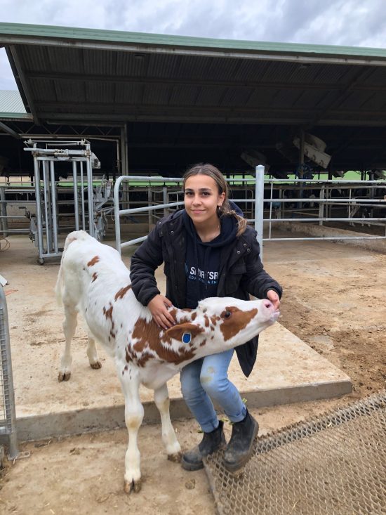 TRAINEE LIVING HER DREAM – WORKING WITH ANIMALS